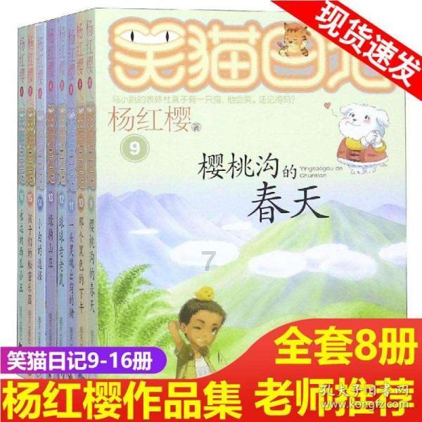杀手6
