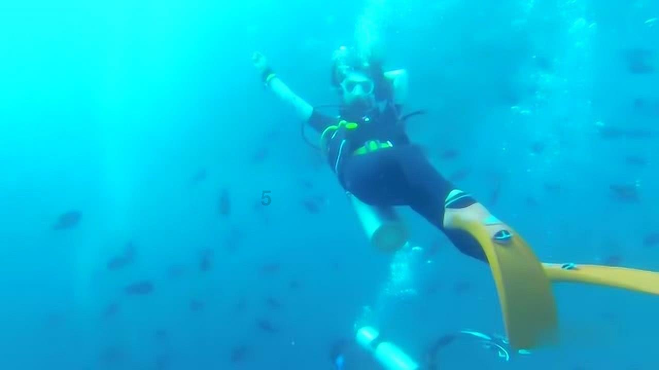 UNITA-Q21电流互感器现场测试仪